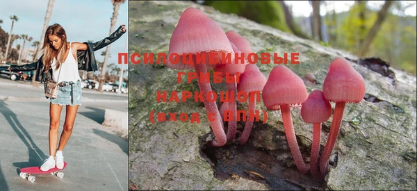 spice Балахна