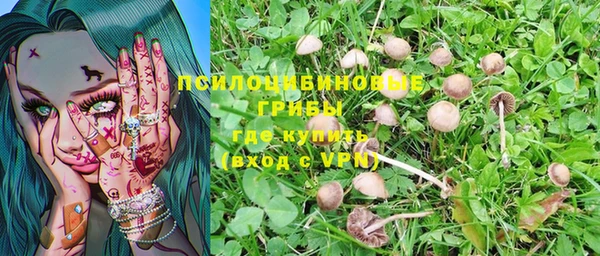 spice Балахна