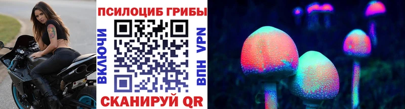 mega ссылки  наркотики  Бикин  Галлюциногенные грибы MAGIC MUSHROOMS 
